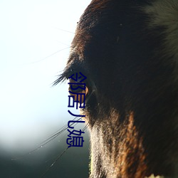 邻居儿(ér)媳