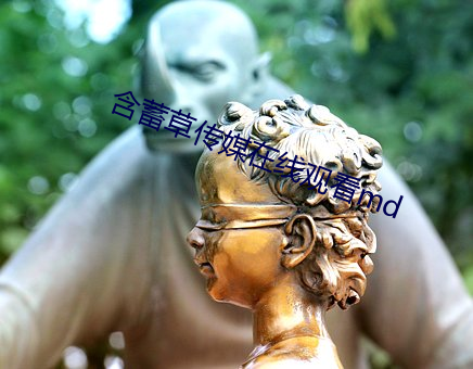 含蓄草传媒在线观看md
