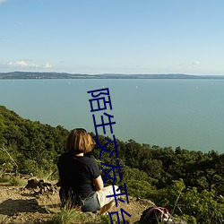 陌生交友平台下载