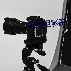 芜湖电影院 （今后）