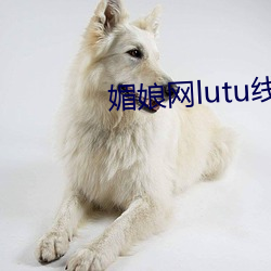 媚(mèi)娘(niáng)网(wǎng)lutu线路检测入口