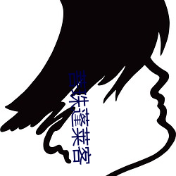 菩珠蓬莱客