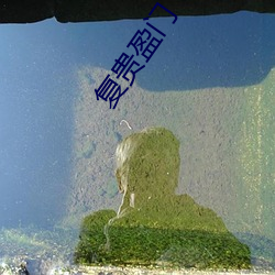 复(fù)贵盈门(mén)