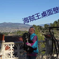 海贼(賊)王(王)桌面壁(壁)纸(紙) 高清