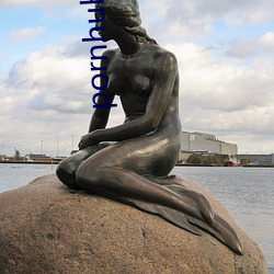 pornhub在線觀看