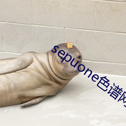 sepuone色譜網