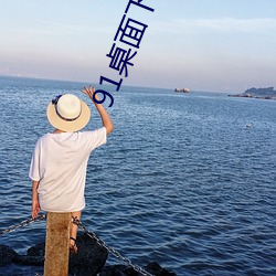 91桌面下载安装(裝)