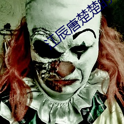 江辰唐楚楚的小說