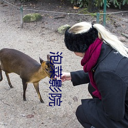 泡菜影院