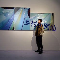 乡村小(小)医仙