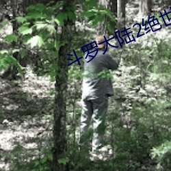 斗罗大(dà)陆2绝世唐门免(miǎn)费寓目