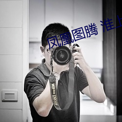 凤凰图腾 淮上
