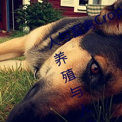 人(人)与畜禽(禽)Croproation(共生共(共)赢畜禽养殖与(與)人类(類)生产的)