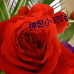 神奇小刁民