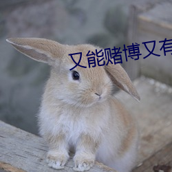 又能赌博又有(有)直(直)播(播)的app