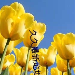久久最新地址获取