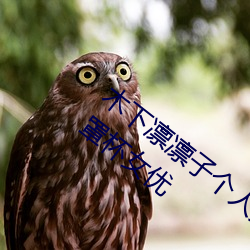 木下凛(lǐn)凛子个人资(zī)料 行为大胆花样繁多的E罩杯女优(yōu)