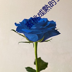 蜜(蜜)桃成熟时33