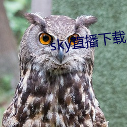 sky直播下載app2021