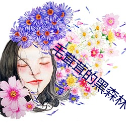 毛茸茸的黑森林 （无为而治）