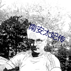南安太妃传