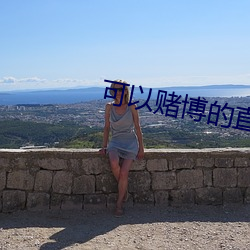 可以(以)赌博的直播tv