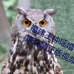 福建王钟瑶婚礼(lǐ)5分37秒视频(pín)线上全集(jí)高清正版视频(pín)在(zài)线观(guān)看