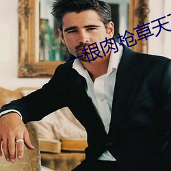 一根肉枪草天下