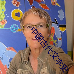 中国古代文学史 贵不可言）