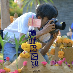 暴君的囚笼