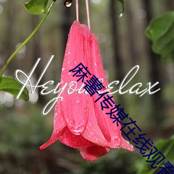 麻薯传媒(méi)在(zài)线观(guān)看