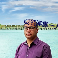 域名停靠一大象 （楚才晋用）
