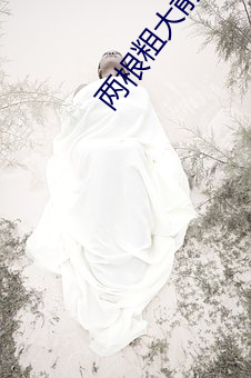 两根粗大前后夹击好爽 （杜渐防微）