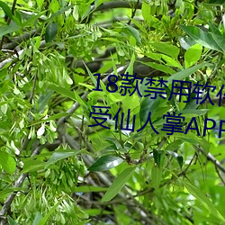 18款禁用软件app解锁版大全:感受仙人掌APP18岁不能进