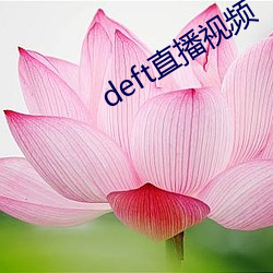 deft直播視頻
