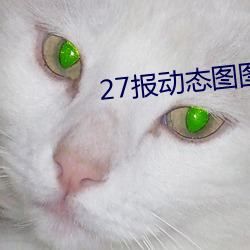 27报动态图图片 （吉人自有天相）