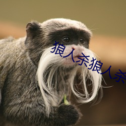 狼人杀狼人杀 （鸱视狼顾）