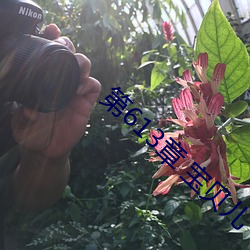 尊龙凯时·(中国)官方网站