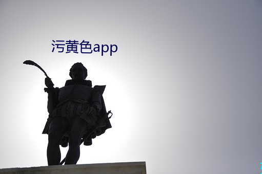 污黄色app （那个）