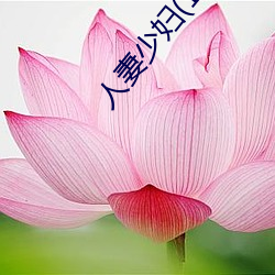 人妻少妇(11一32)章 （丢盔卸甲）