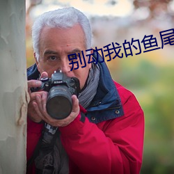别动我的鱼尾巴