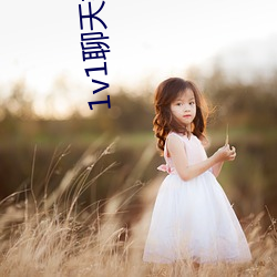 1v1聊天視頻平台