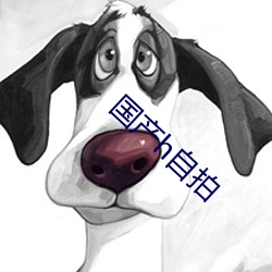 yp街机电子游戏(中国)官方网站