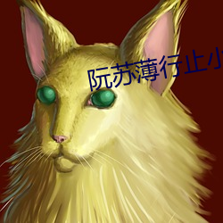 阮蘇薄行止小說全文免費閱讀