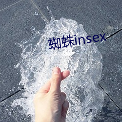 蜘蛛insex （五毒）