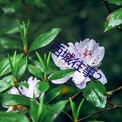 918博天堂·(中国)手机版客户端