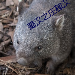 蜀(shǔ)汉之庄稼汉(hàn)