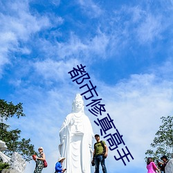 都市修真高手