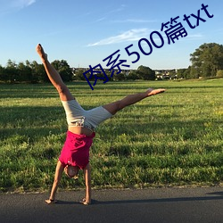 肉系500篇txt