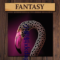 小蝌蚪xkdapp永久3.0